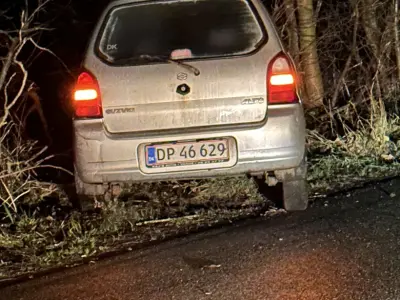 Foto af Suzuki Alto