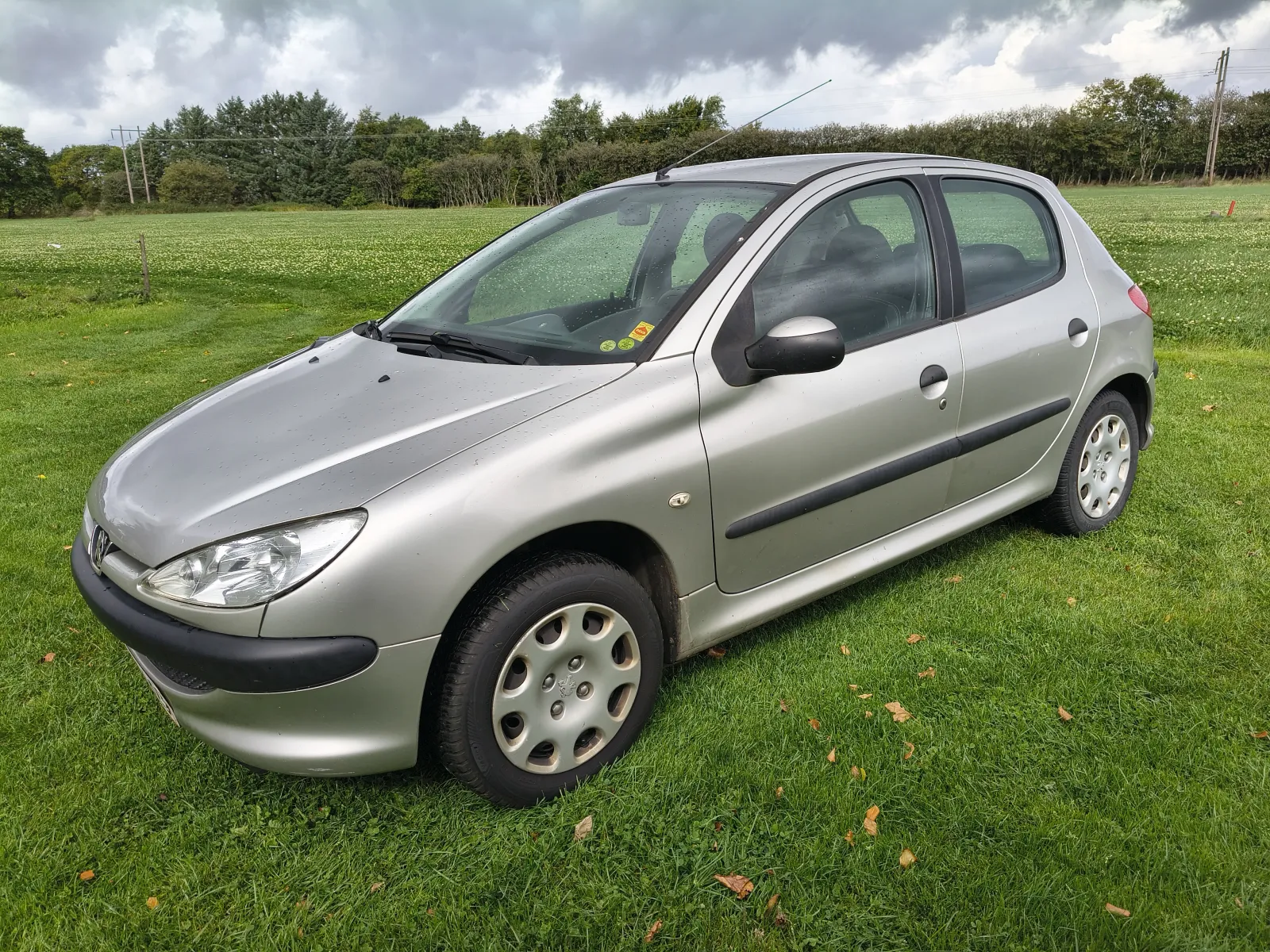 Peugeot 206