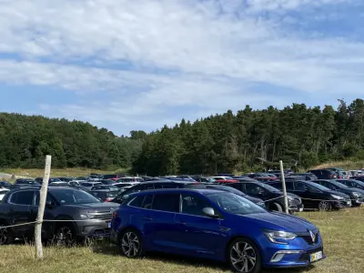 Foto af Renault Megane