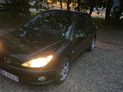 Foto af Peugeot 206