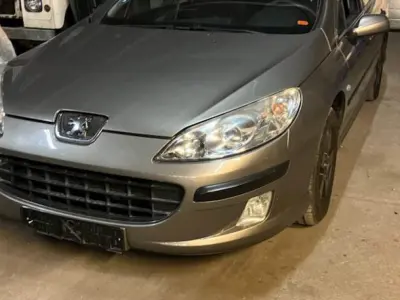 Foto af Peugeot 407