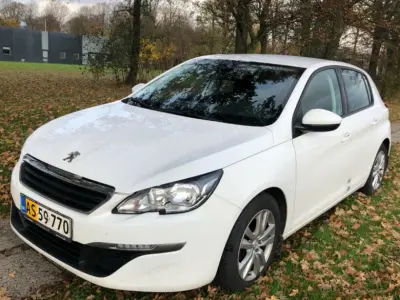 Foto af Peugeot 308 Van