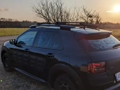 Foto af Citroën C4 Cactus