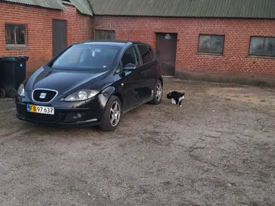 Foto af SEAT Altea Van