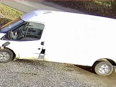 Foto af Ford Transit Van 300M Fwd