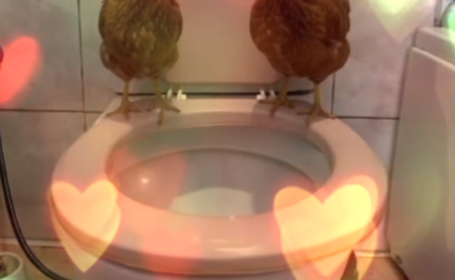 Skoda Octavia Rs 2,0 Tfsi EL93116