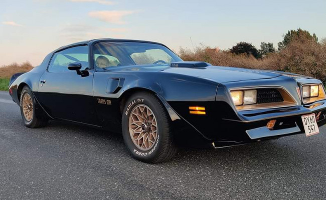 Pontiac Firebird Trans Am DY60597