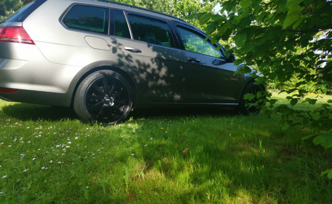 Volkswagen Golf 1.6 Tdi Bluemotion 110 Variant BX86361