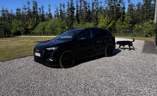 Audi Q4 40 E-tron EE16365