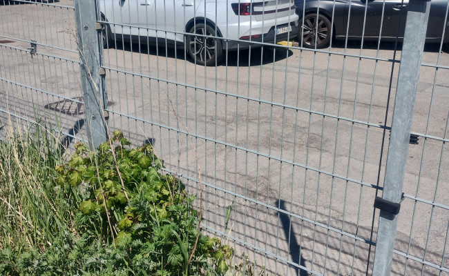 Polestar Polestar 2 Vsed DT64281