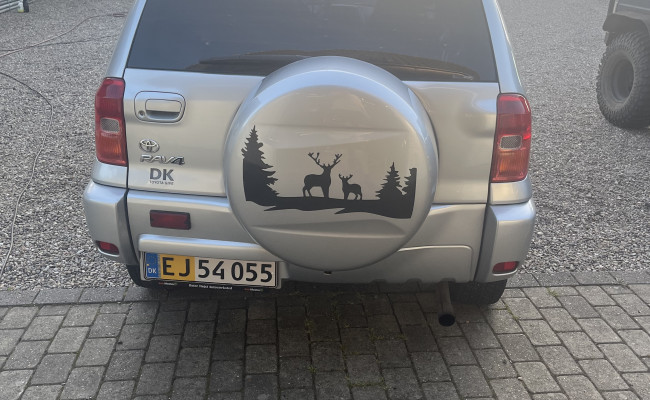 Toyota Rav 4 1,8 EJ54055