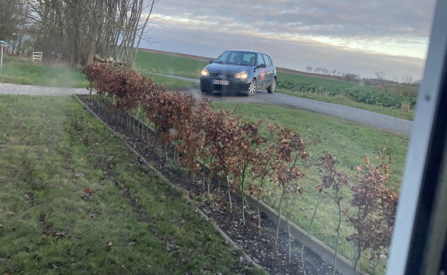 Renault Clio 1,2 8v CU83317