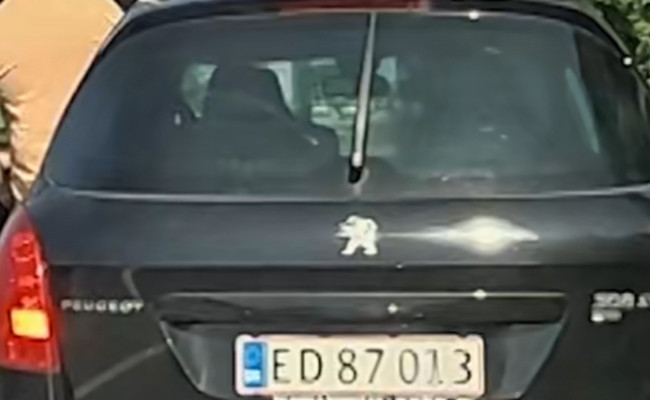 Peugeot 308 1,6 Ehdi 112hk Sw ED87013