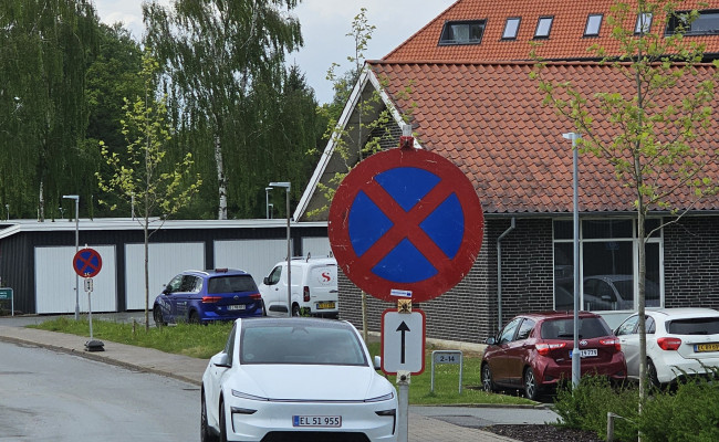 Tesla Model Y Long Range Baghjulstræk EL51955