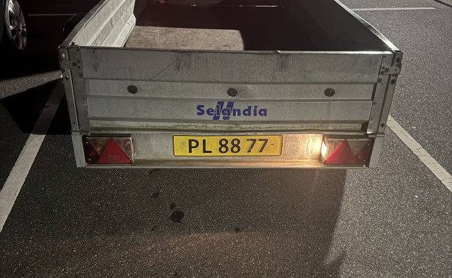 Niewiadow Selandia F1326 PL8877