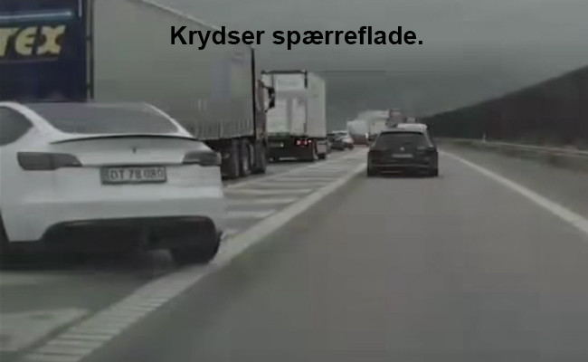 Tesla Model Y Long Range Performance 393kw DT78080