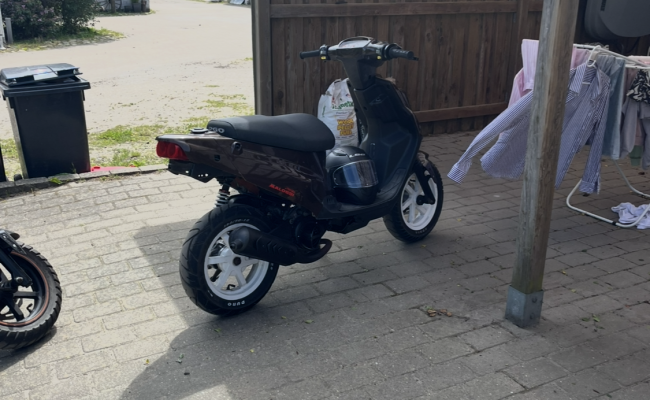 Pgo - Hot 50 Pmps DJ1383