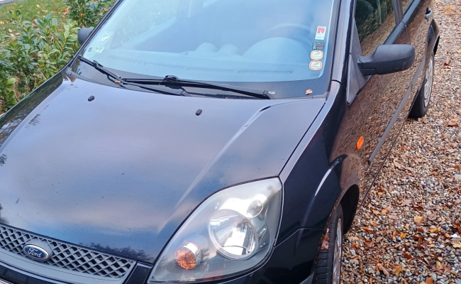 Ford Fiesta 1,4 Tdci DD46103