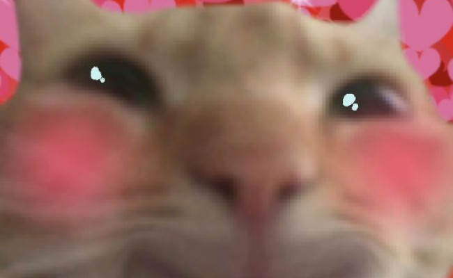 Mercedes-benz C 300 R24rp0 EE68879