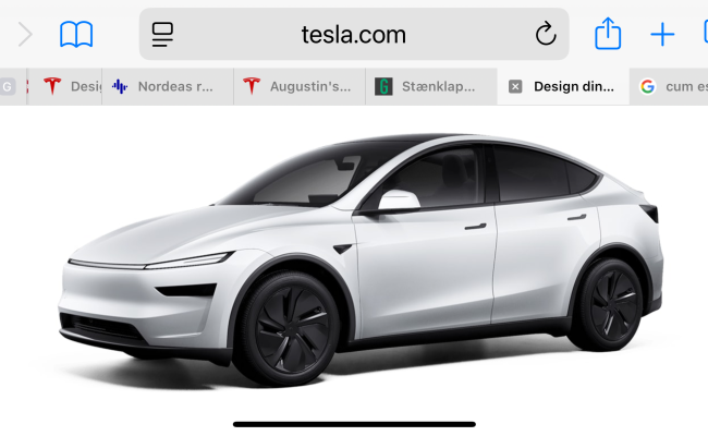 Tesla Model Y Long Range Baghjulstræk EK87221