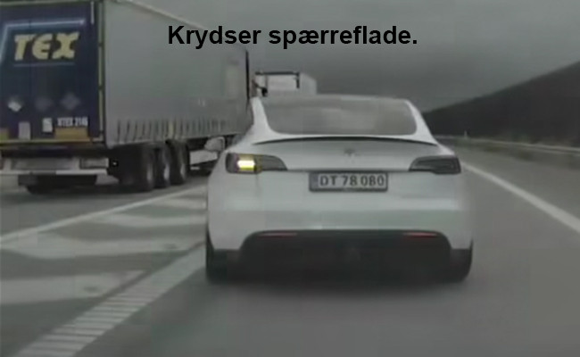 Tesla Model Y Long Range Performance 393kw DT78080