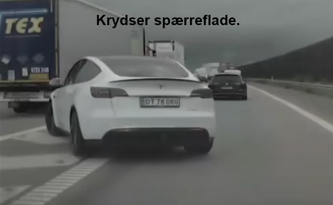 Tesla Model Y Long Range Performance 393kw DT78080