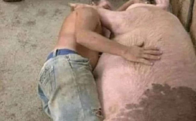 Hyundai Accent 1,6 YY25548