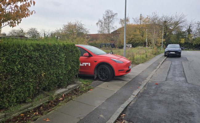 Tesla Model Y Long Range Dual Motor DY87379