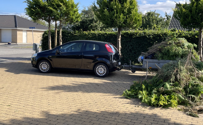 Fiat Punto 1,2 CJ23509