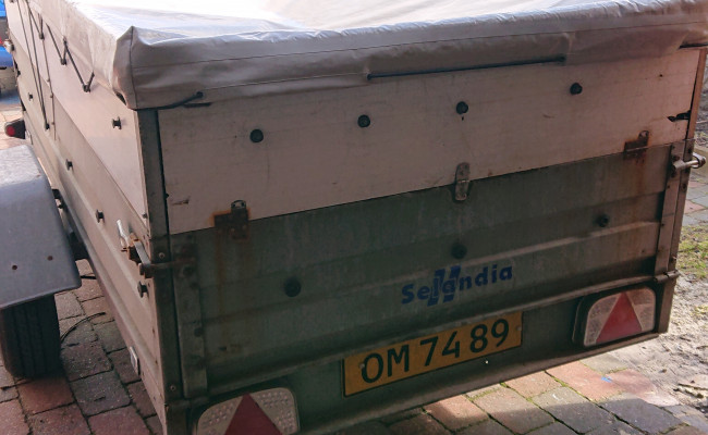 Niewiadow Selandia F1326 OM7489