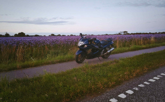 Suzuki Gsx1300r Uoplyst DZ13056