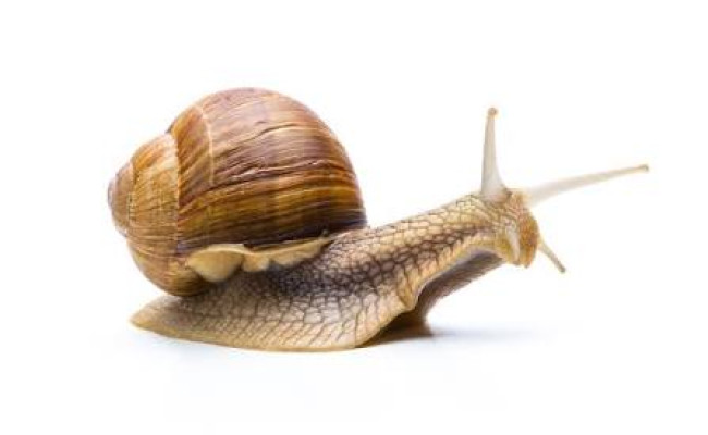 Mazda 6e Ev 5-dørs Rwd Aut. BADEN