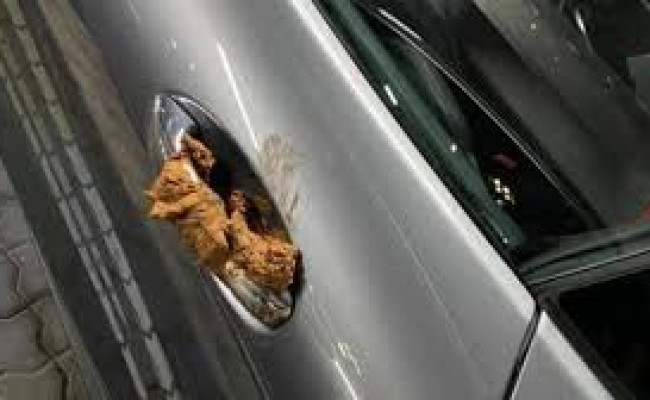 Bmw X5 3,0 D Aut. AP92079