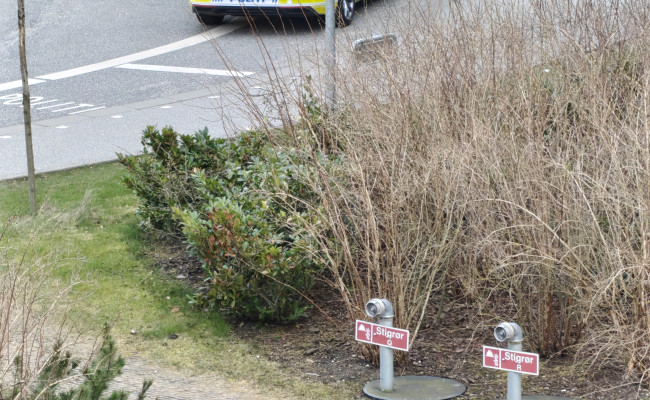 Volkswagen Passat Variant 2.0 Tdi Scr 200 Dsg7 EC64205