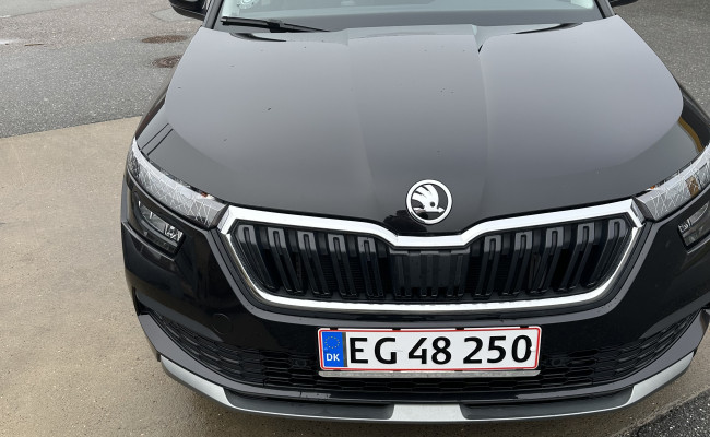Skoda Kamiq 1.0 Tsi 110  Dsg EG48250