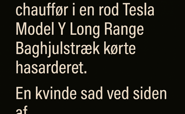 Tesla Model Y Long Range Baghjulstræk DZ97644